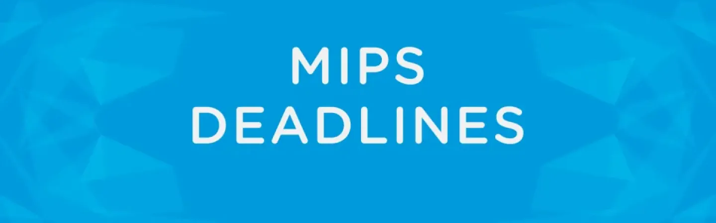 mips deadlines