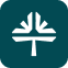 Tebra-icon